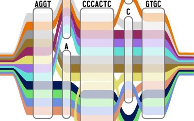 PhD Opportunities in our Lab through Yale’s Human Genome Science Track