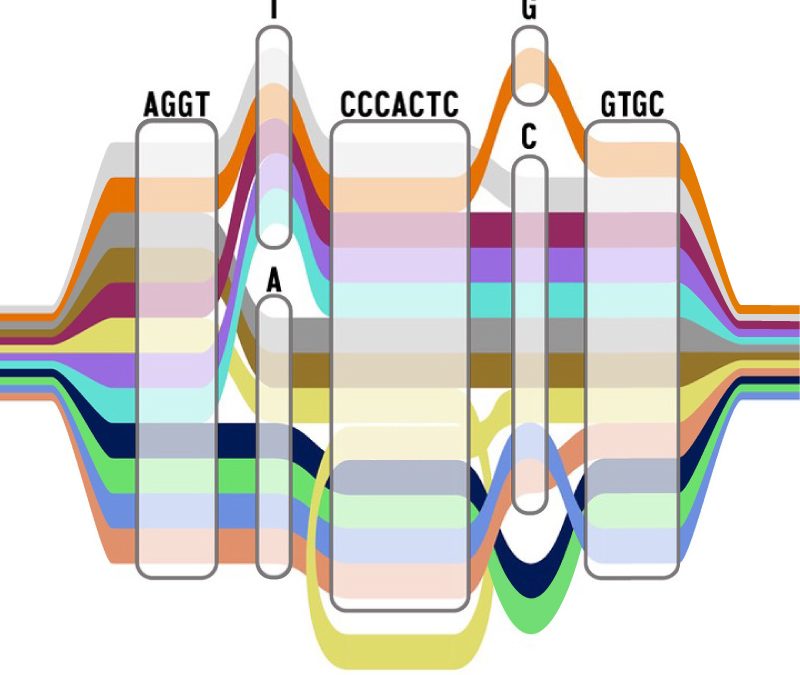 PhD Opportunities in our Lab through Yale’s Human Genome Science Track